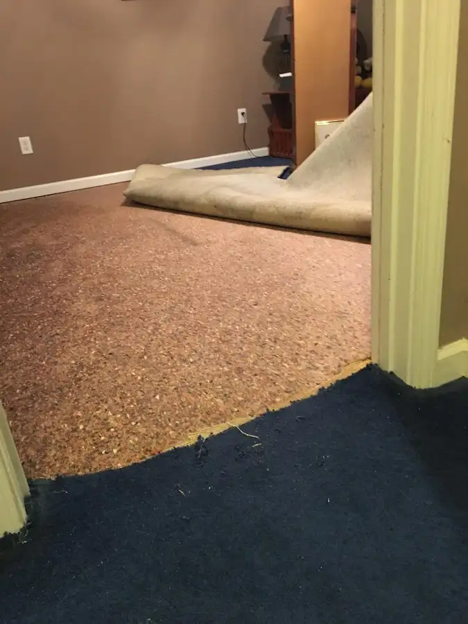 Carpet pad removal revealing water damage during Water Mitigation Services in Penn Forest