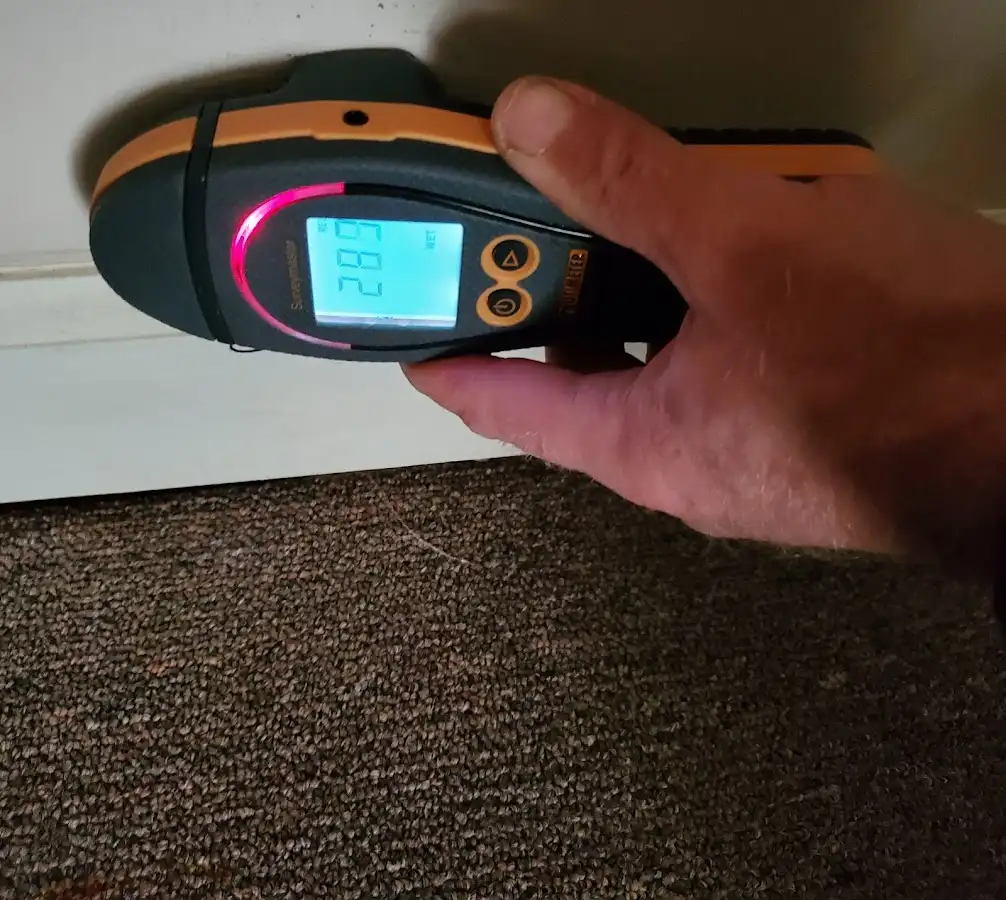 Moisture detection at baseboard during Sewage Cleanup & Sanitation in Penn Forest